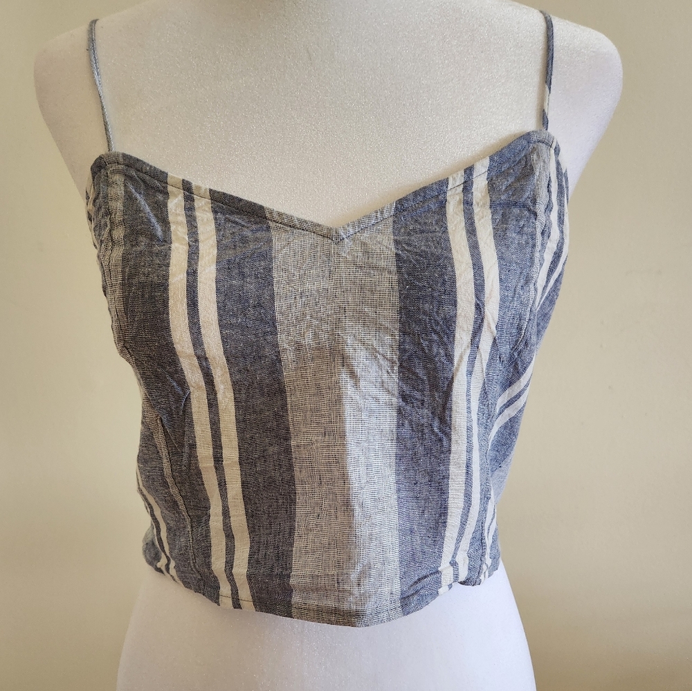 Small Express Blue Striped Crop Top